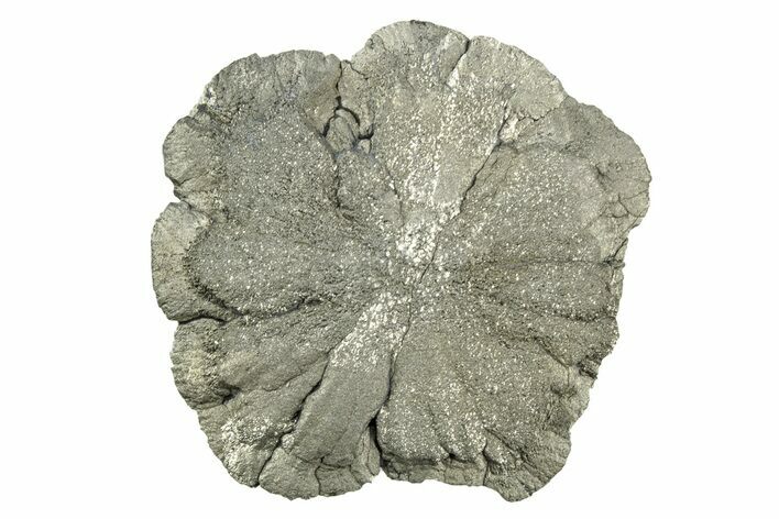 Radiant Pyrite Sun - Sparta, Illinois #342532